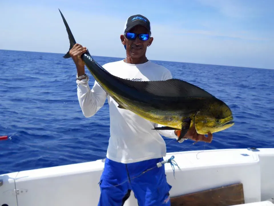 Cayman Islands Fishing Report By Month