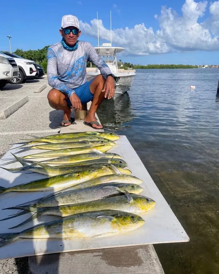 Best Time To Fish In Cayman Islands